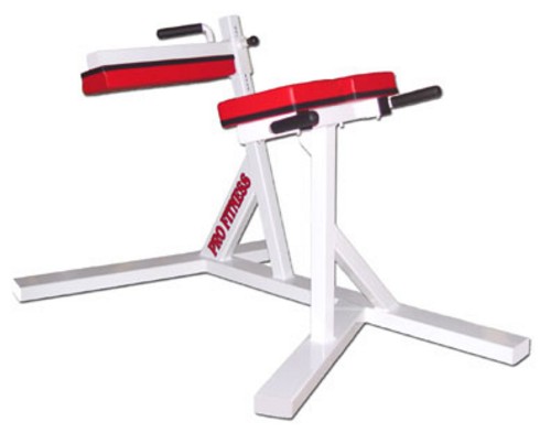 pro-fitness-hyperextension-25