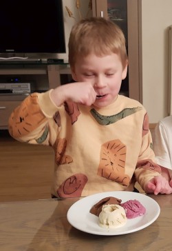 kid loves protein ice cream